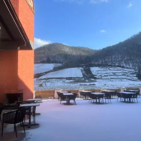 May Hotel Mayschoss ホテル