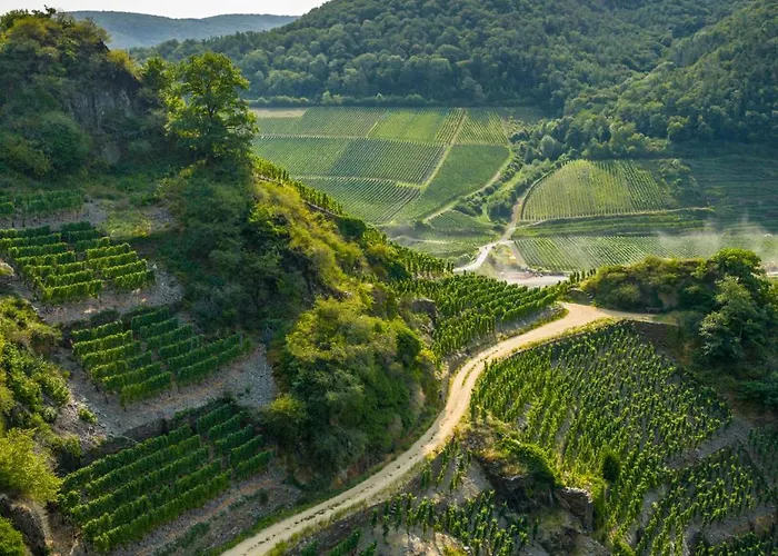 Hotel May Hotel Mayschoss Mayschoß